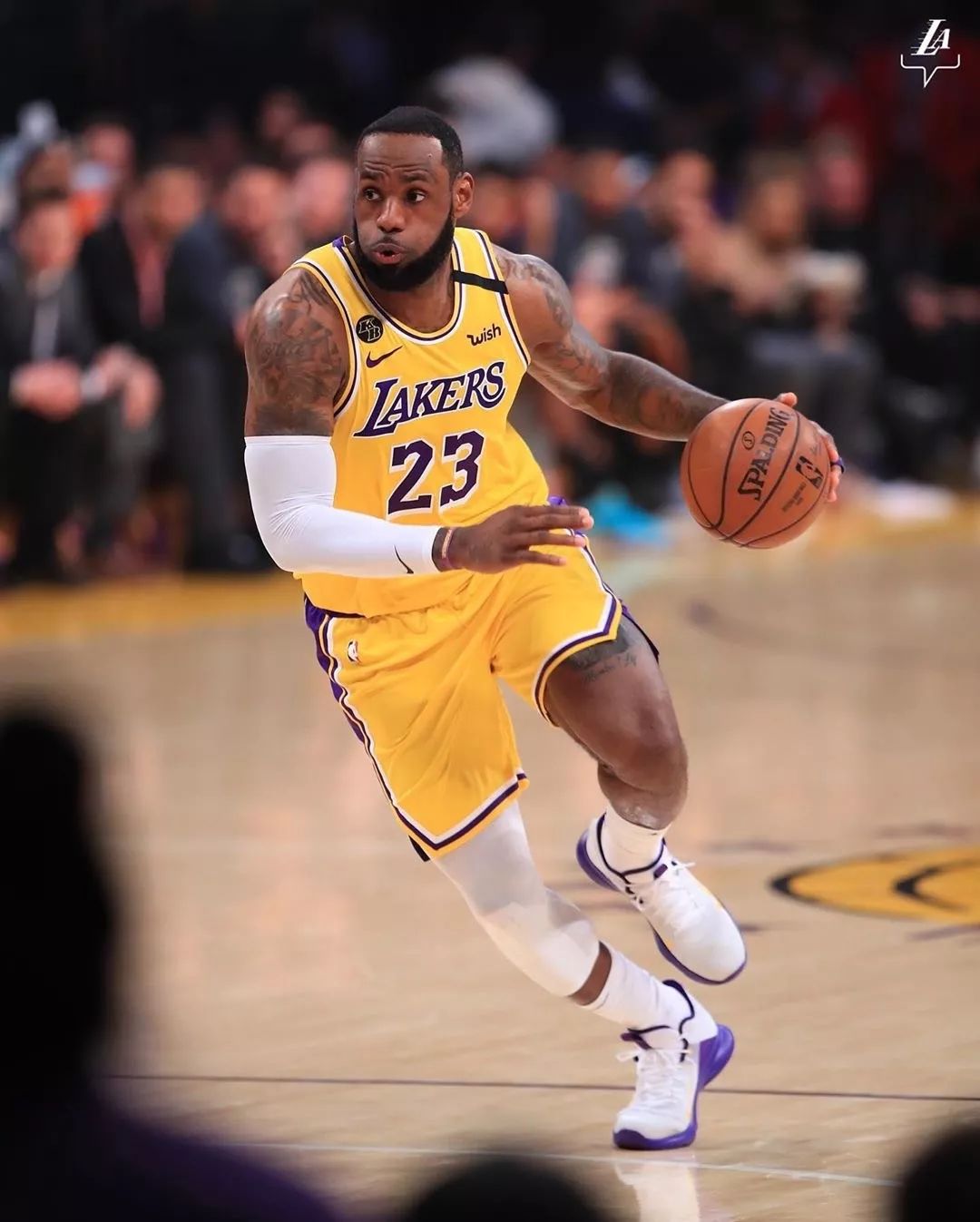 算法与风控 算法与风控